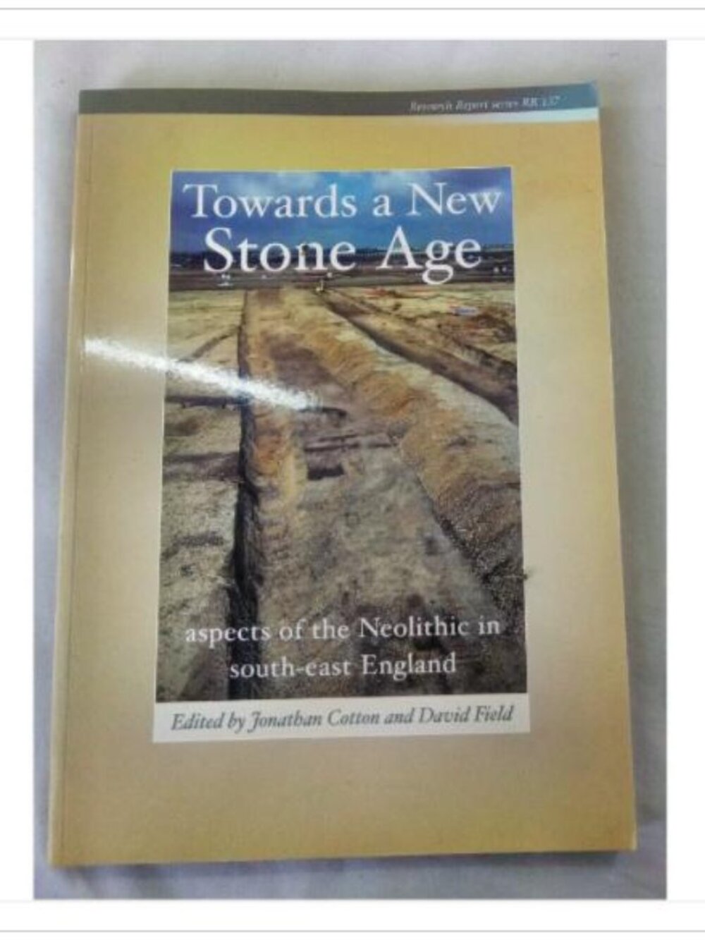 Towards a New Stone Age: aspects of the Neolithic in south-east England 2004